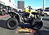 2019 Can-Am Renegade 570 for sale 200663448
